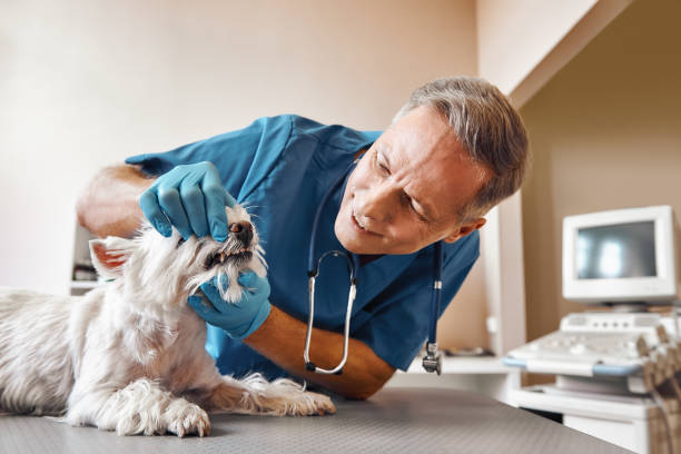 Best Emergency Gum Treatment in Homestead, FL