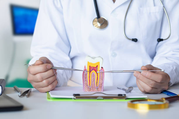 Best Emergency Treatment for Dental Infections or Abscesses in Homestead, FL